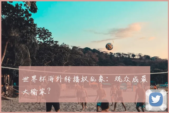 世界杯海外转播权乱象:观众成最大输家?