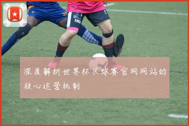 深度解析世界杯买球赛官网网站的核心运营机制