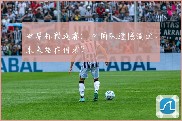 世界杯预选赛:中国队遗憾淘汰,未来路在何方?