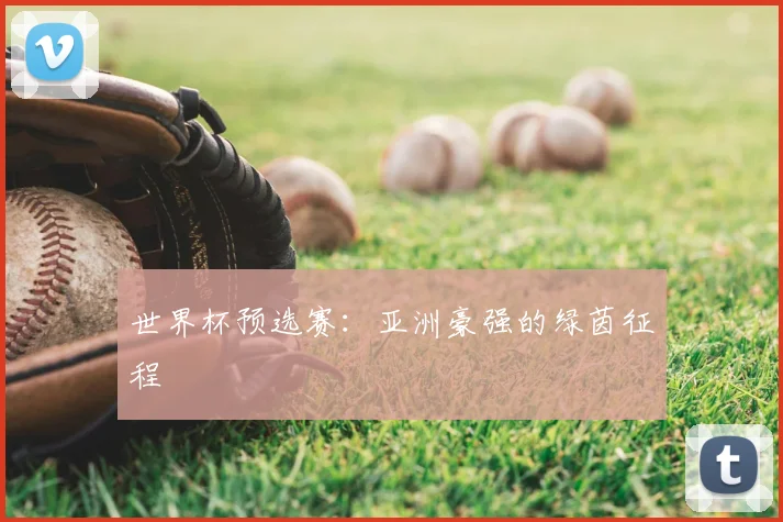 世界杯预选赛：亚洲豪强的绿茵征程