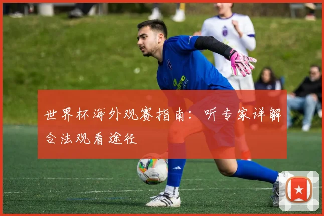 世界杯海外观赛指南:听专家详解合法观看途径