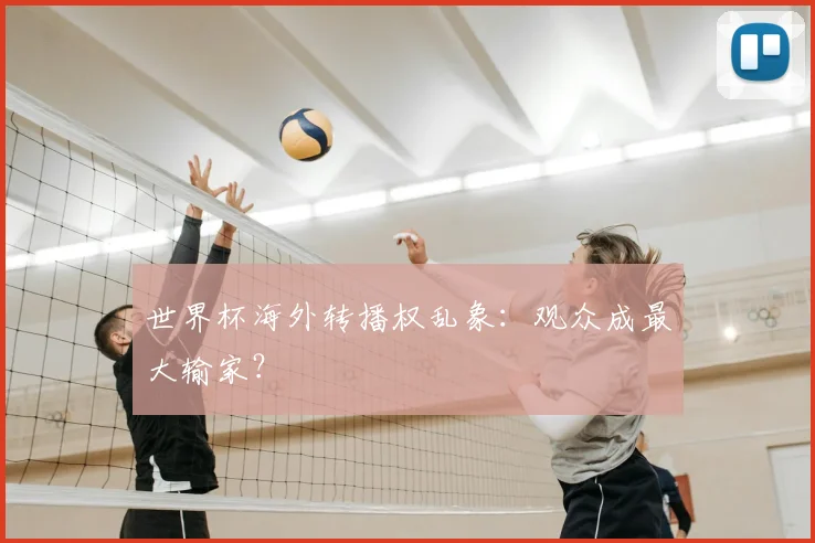 世界杯海外转播权乱象:观众成最大输家?