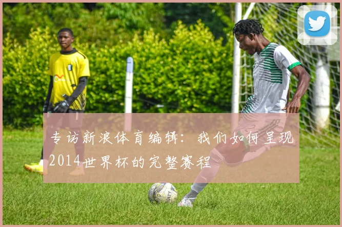 专访新浪体育编辑:我们如何呈现2014世界杯的完整赛程