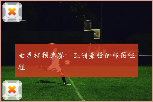 世界杯预选赛：亚洲豪强的绿茵征程