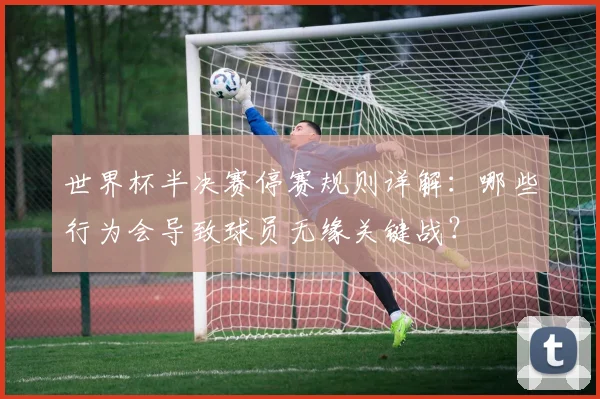 世界杯半决赛停赛规则详解:哪些行为会导致球员无缘关键战?