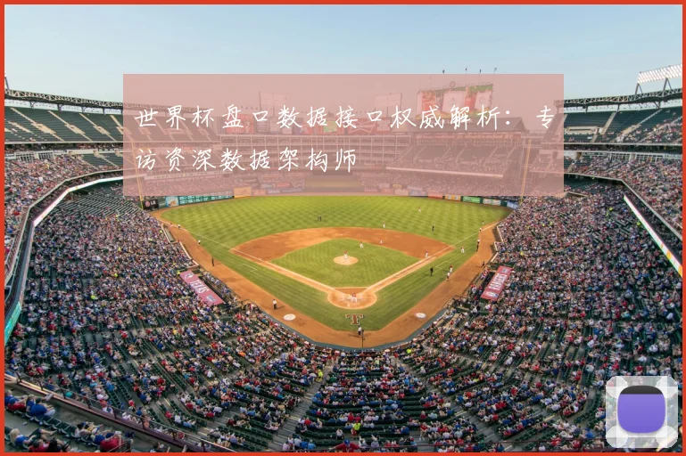 世界杯盘口数据接口权威解析:专访资深数据架构师