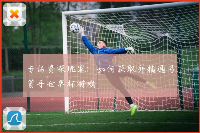 专访资深玩家:如何获取并精通弓箭手世界杯游戏