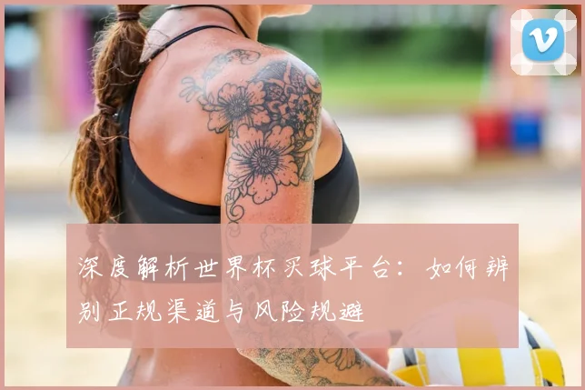深度解析世界杯买球平台：如何辨别正规渠道与风险规避