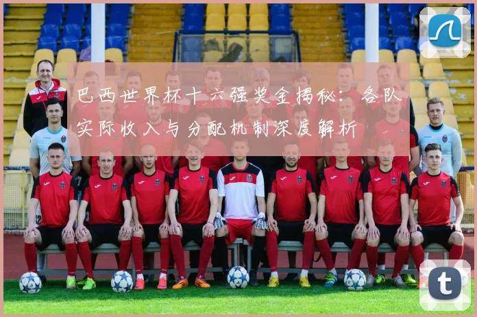 巴西世界杯十六强奖金揭秘：各队实际收入与分配机制深度解析