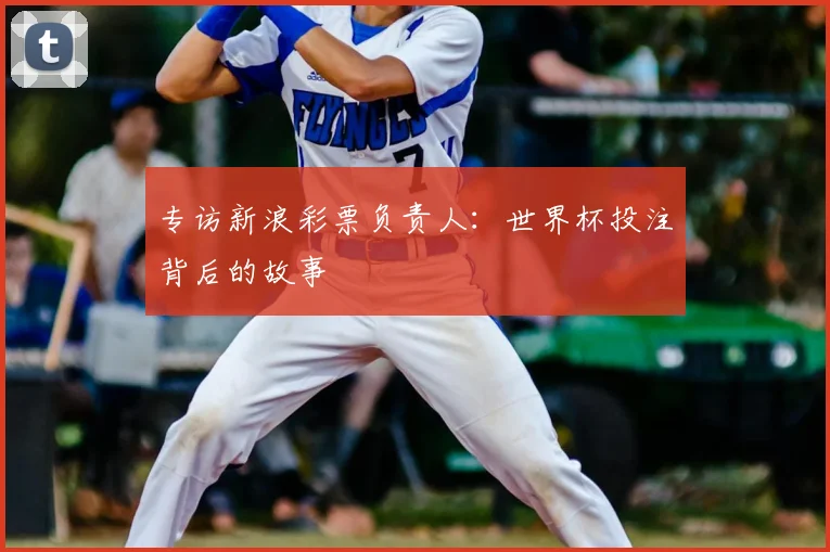 专访新浪彩票负责人:世界杯投注背后的故事