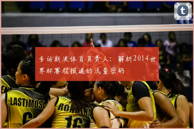 专访新浪体育负责人：解析2014世界杯赛程报道的流量密码