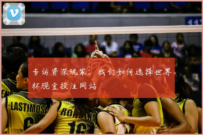 专访资深玩家:我们如何选择世界杯现金投注网站