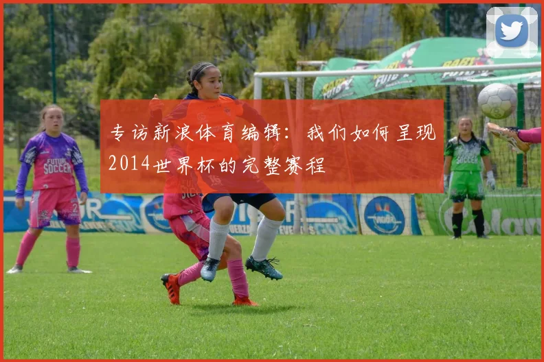 专访新浪体育编辑：我们如何呈现2014世界杯的完整赛程