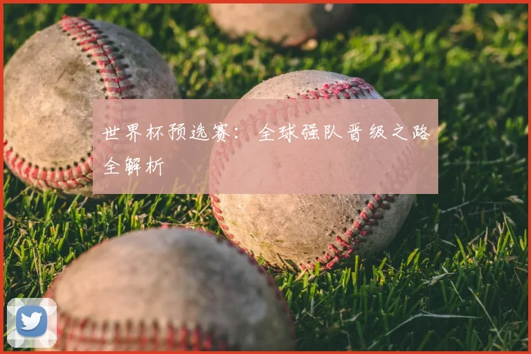 世界杯预选赛:全球强队晋级之路全解析