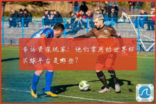 专访资深玩家：他们常用的世界杯买球平台是哪些？