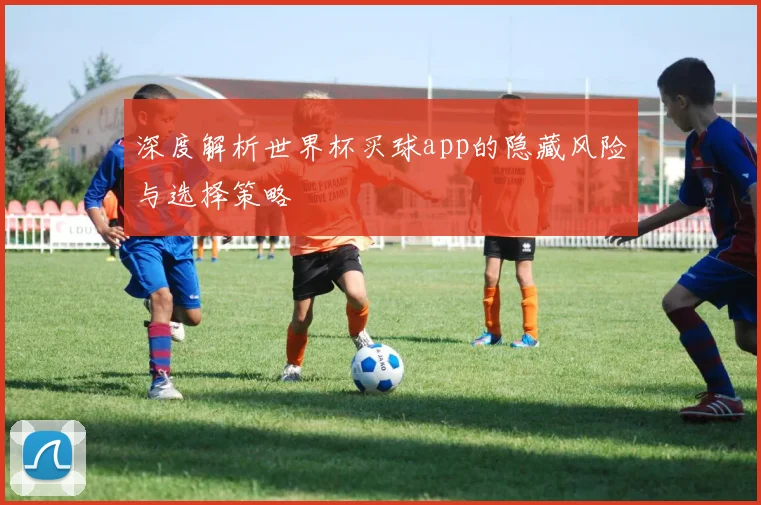深度解析世界杯买球app的隐藏风险与选择策略