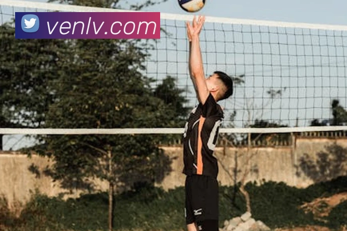 bsports官方登录入口APP 封面图